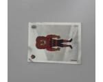 Futebol 2020 Brasileir�o Fig. 440